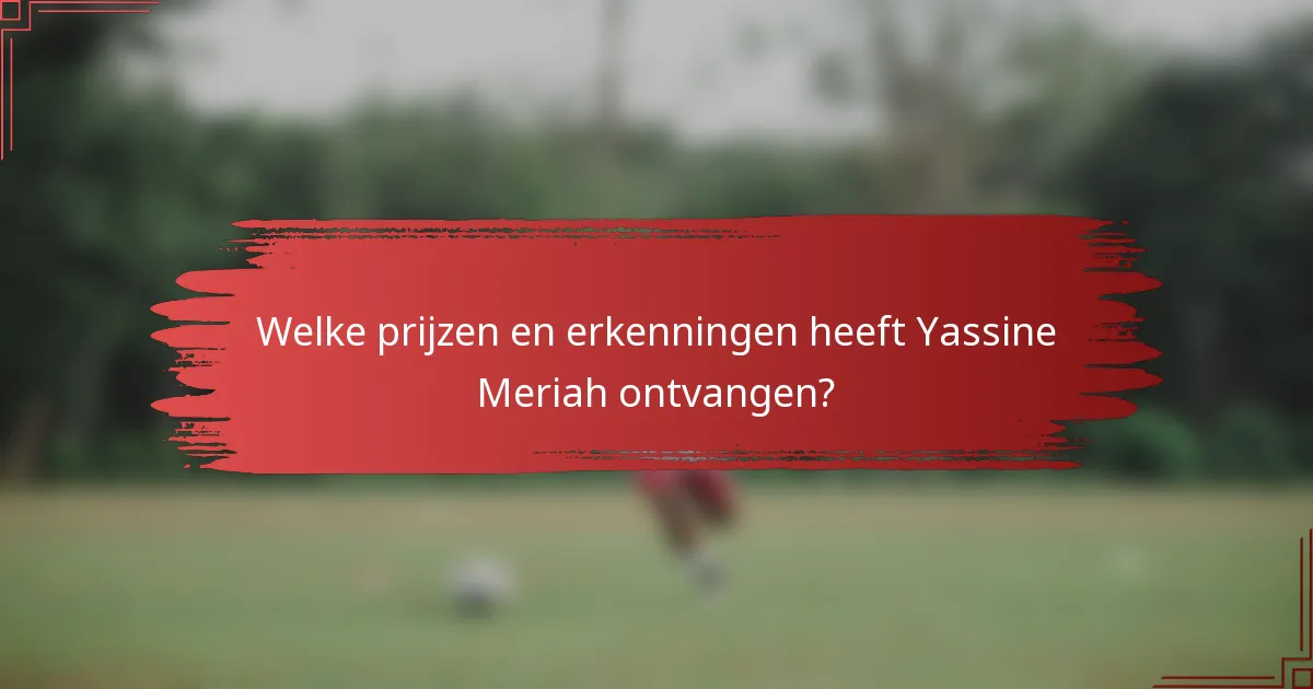 Welke prijzen en erkenningen heeft Yassine Meriah ontvangen?